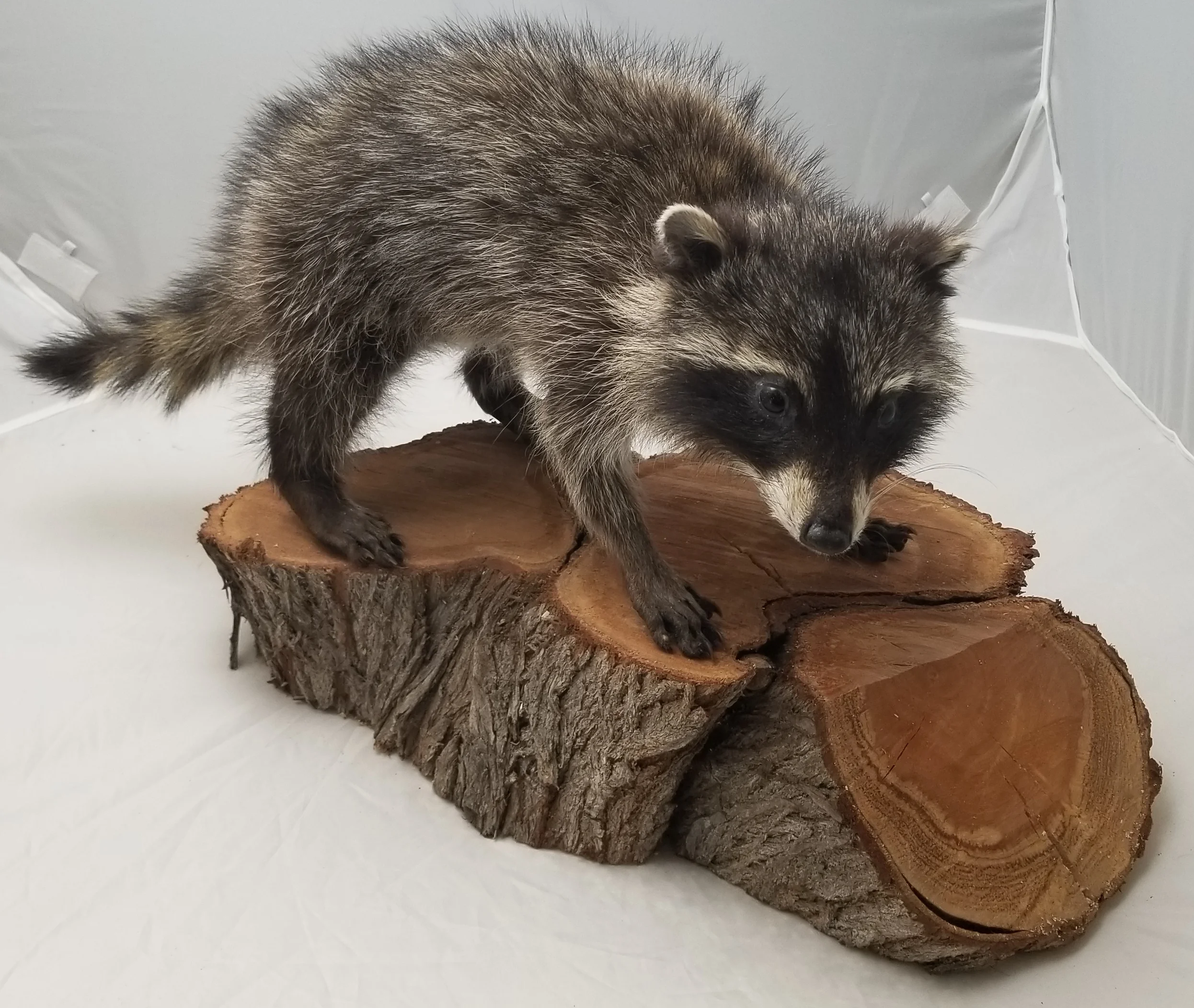 20180215_102223.jpg