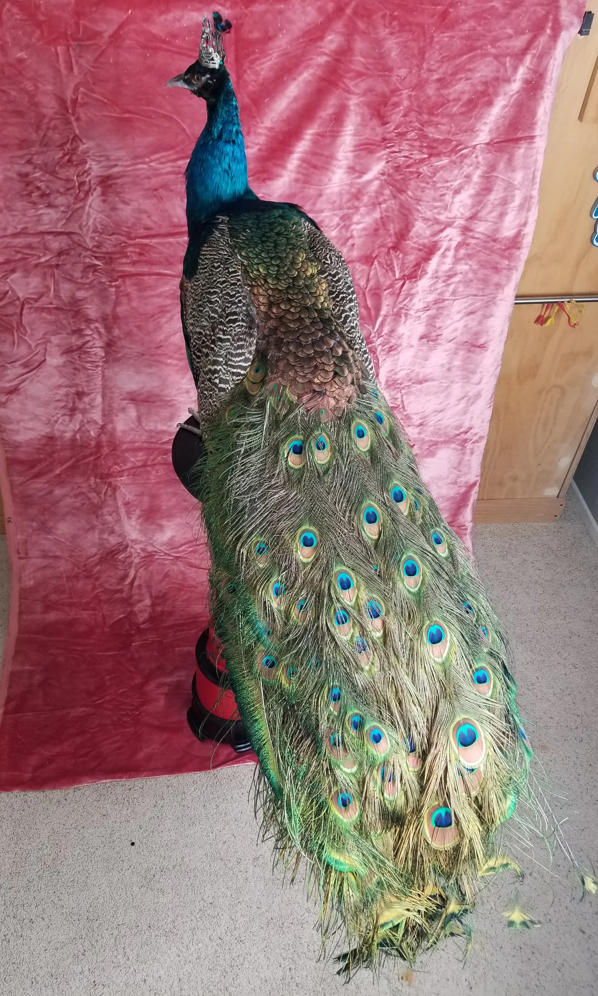 20180503_073552.jpg
