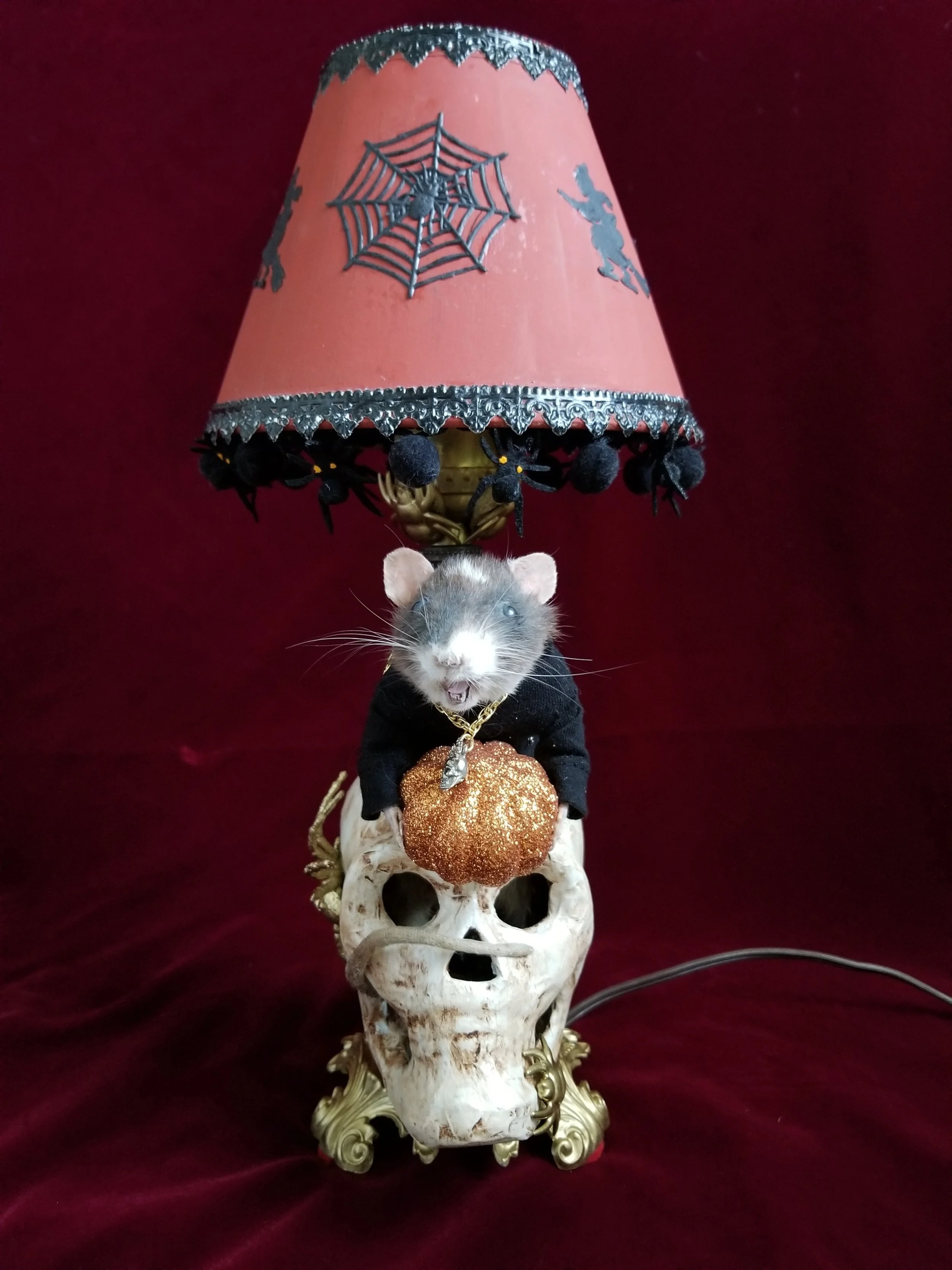 20181008_161051.jpg