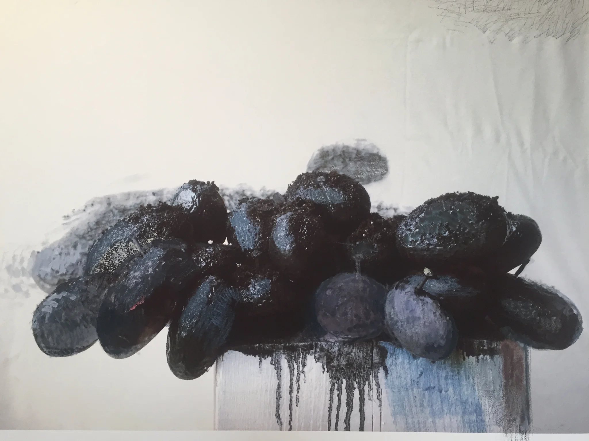 Black Potatoes, Joan Goldin