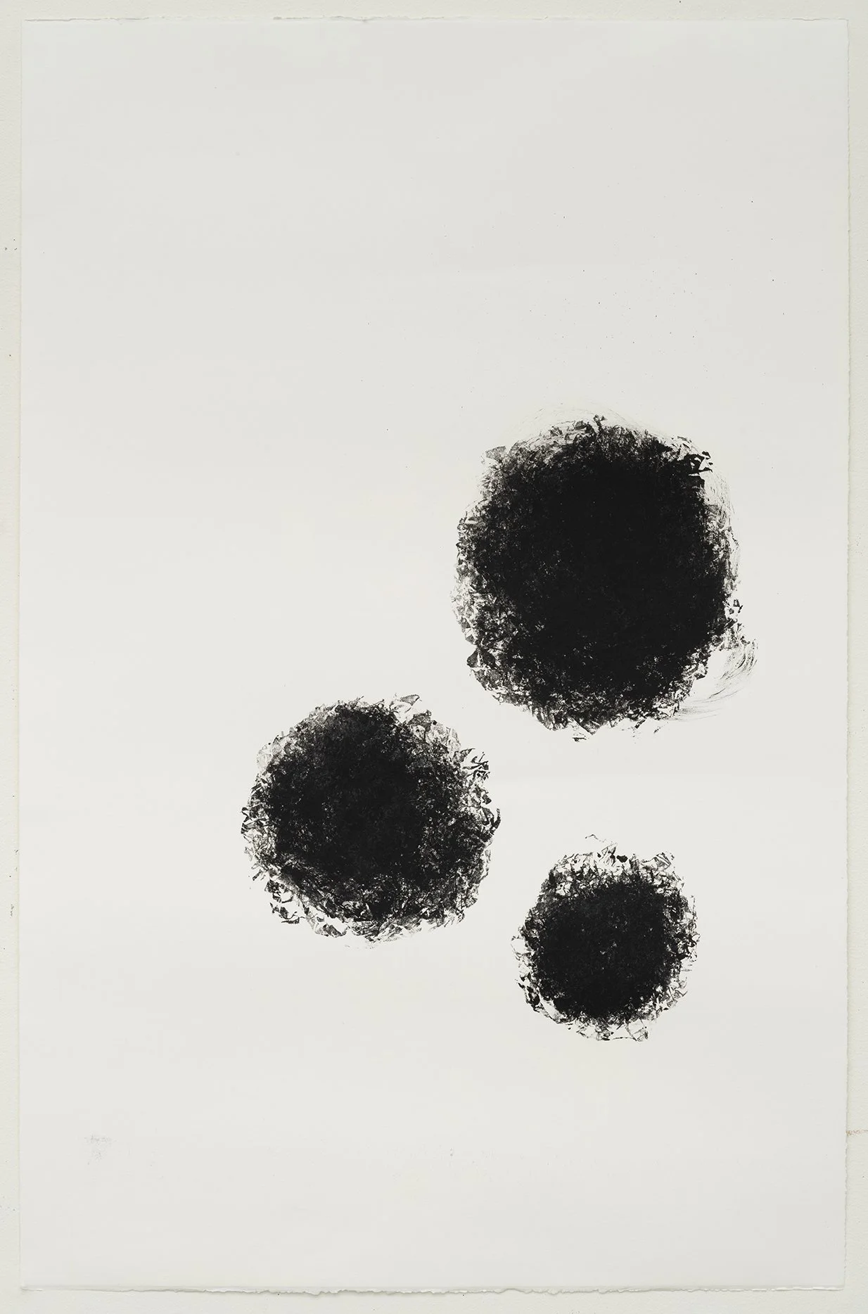 Prospectus: Collected Works Joan Goldin