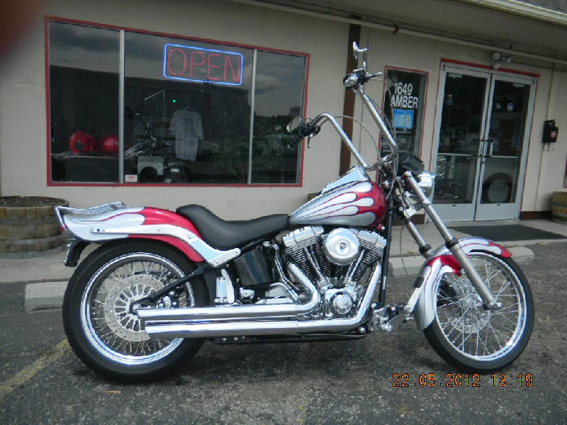 Bruce's 006 Harley Softail