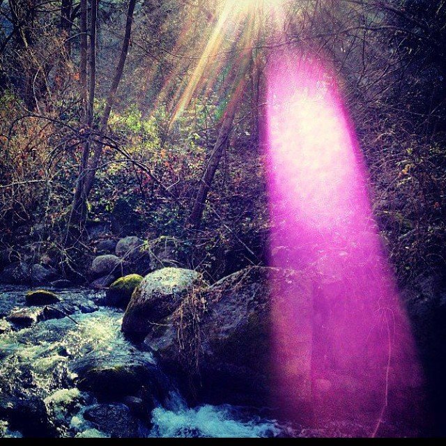 pink light .jpg