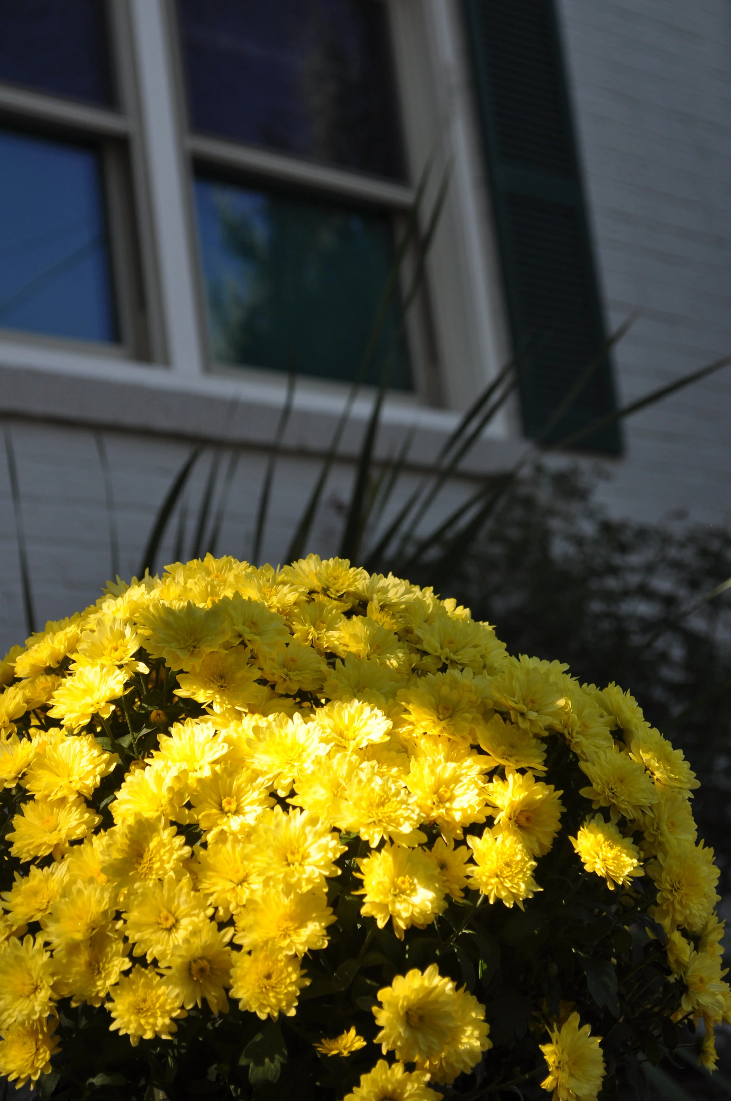 Pinney Hill Apartments