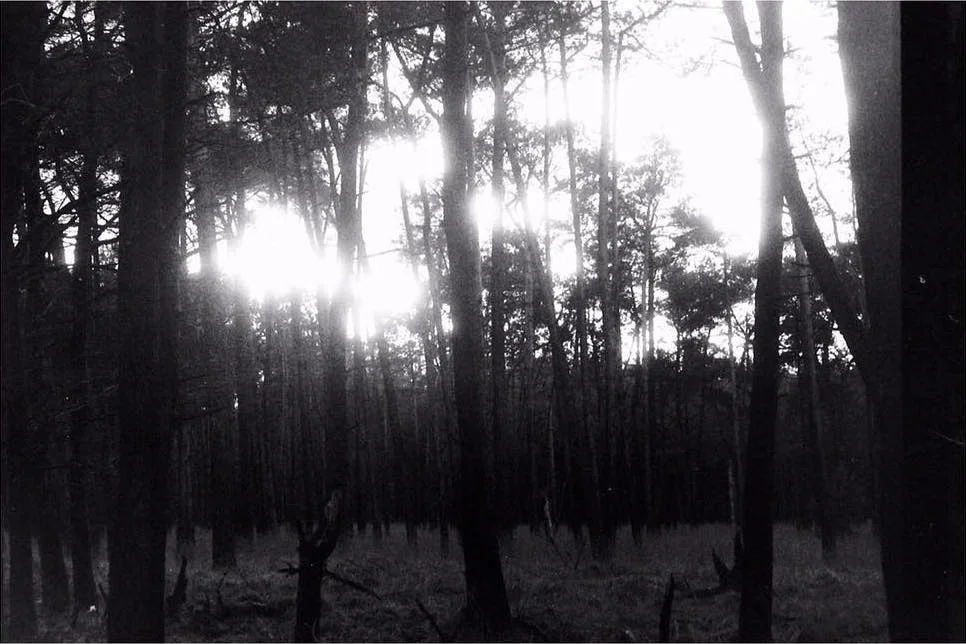 Drunense duinen #1