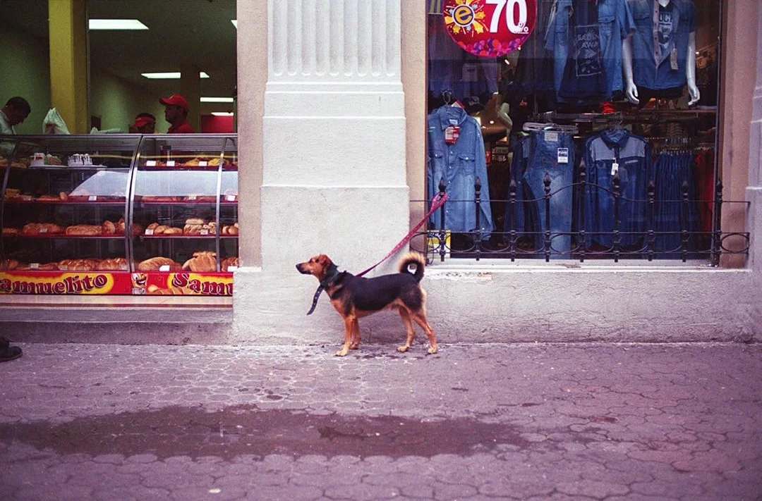 Foto: Leo Carvajal
