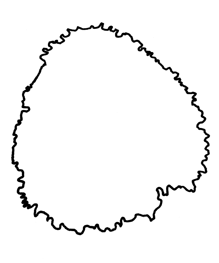 costa.png