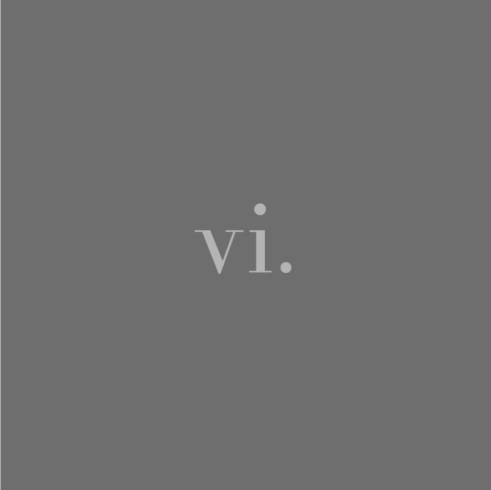 vi.png