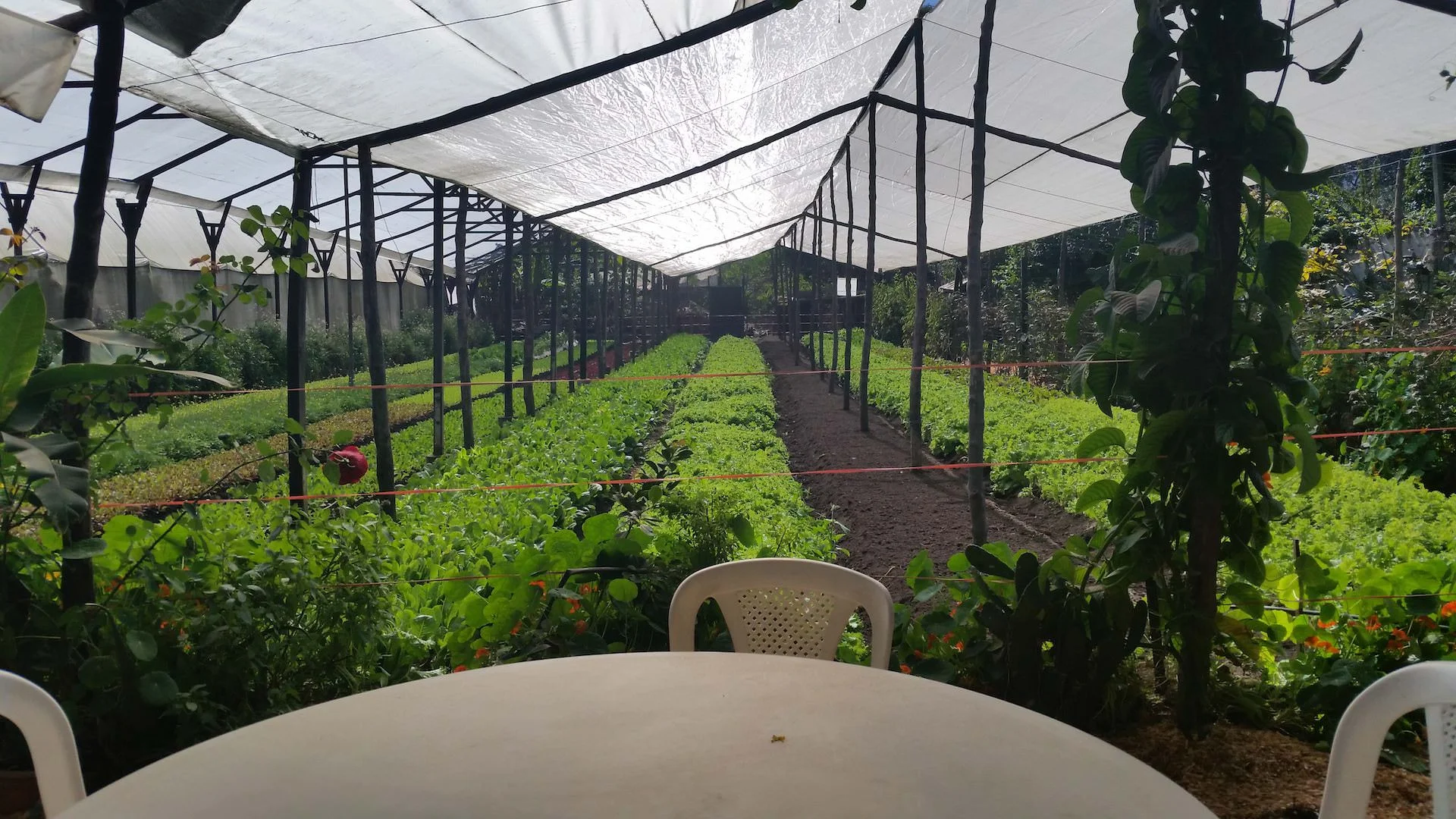 Eat Organic Learn More