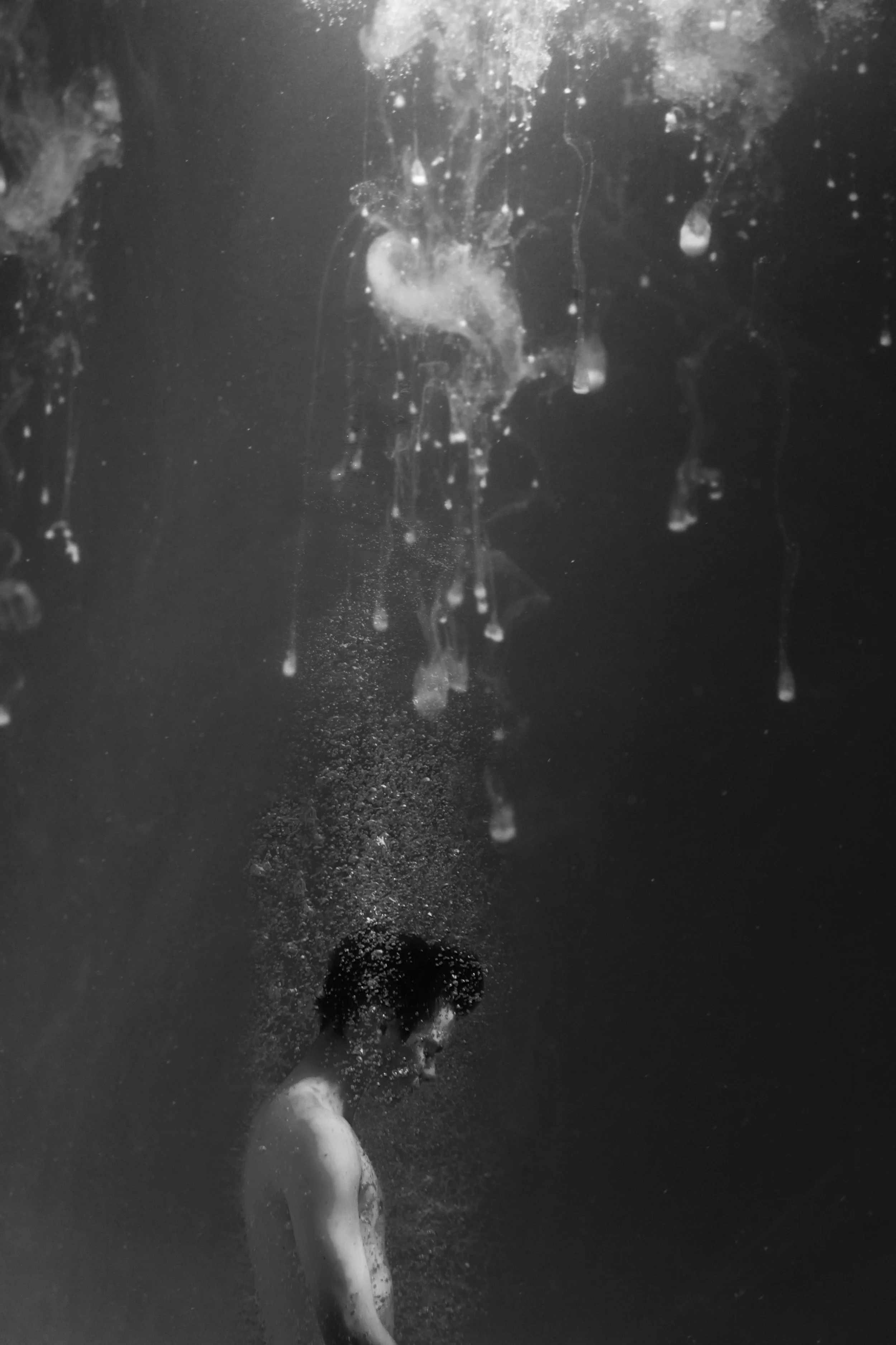 water16revised.jpg