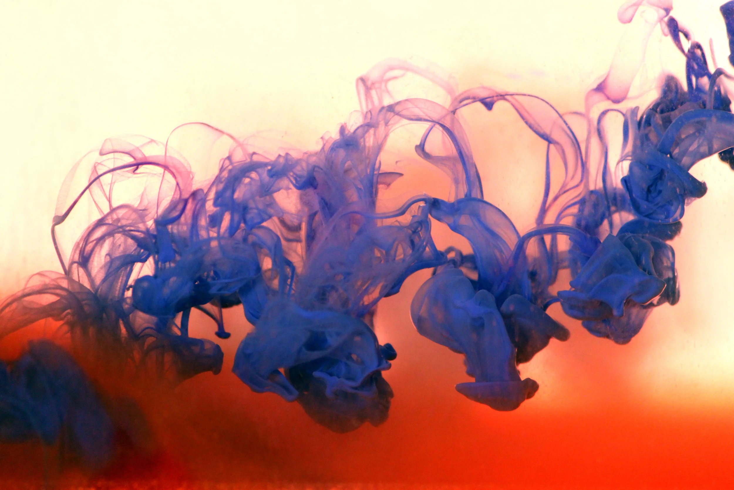 blueandred.jpg