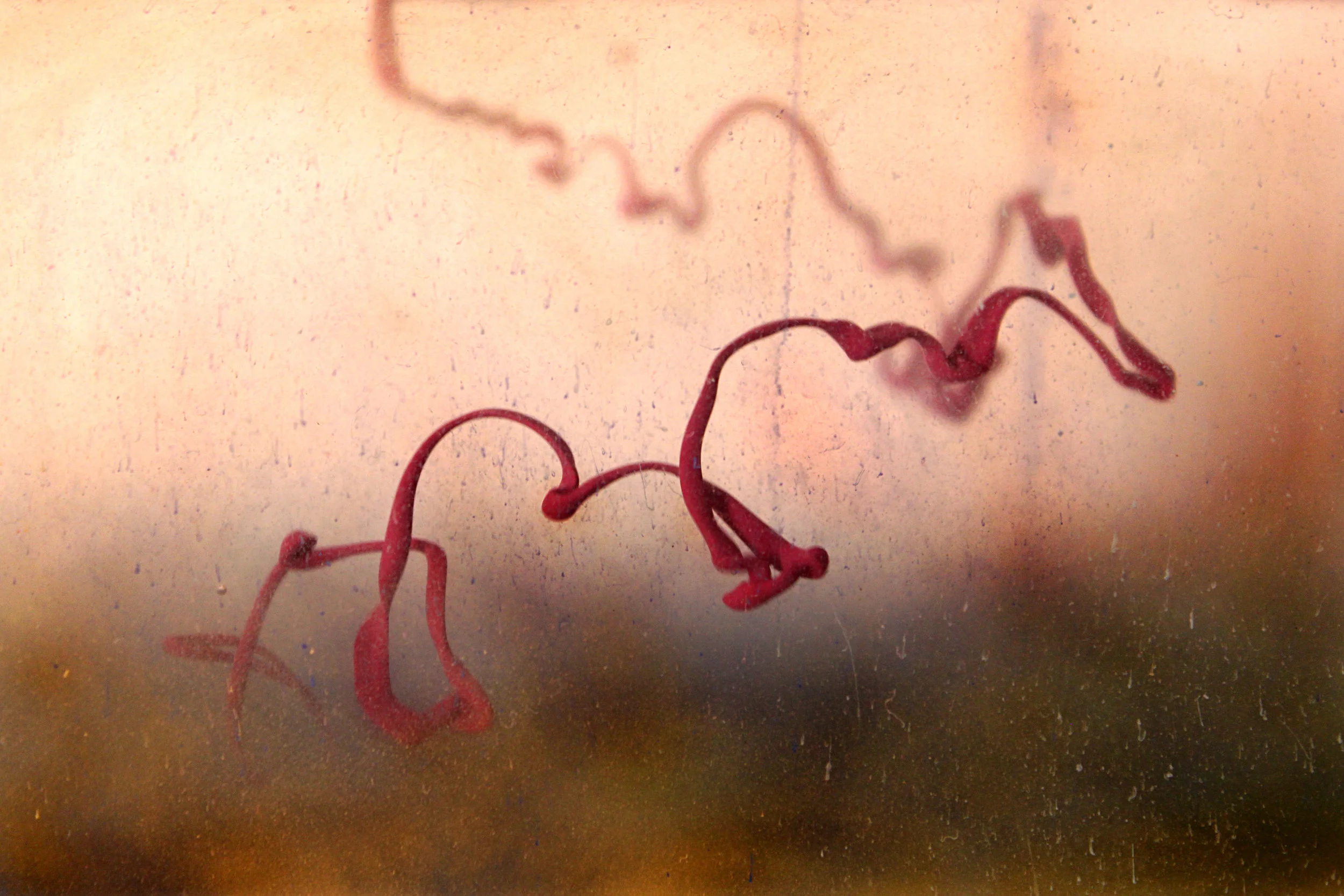 red string jaypeg.jpg