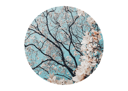Blog Frame .png