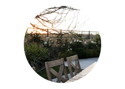 Blog Frame .png