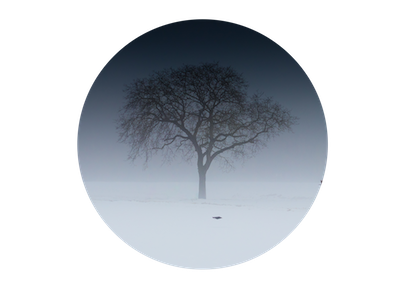 Blog Frame .png