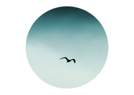 Blog Frame .png
