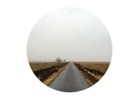 Blog Frame .png