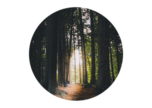 Blog Frame .png
