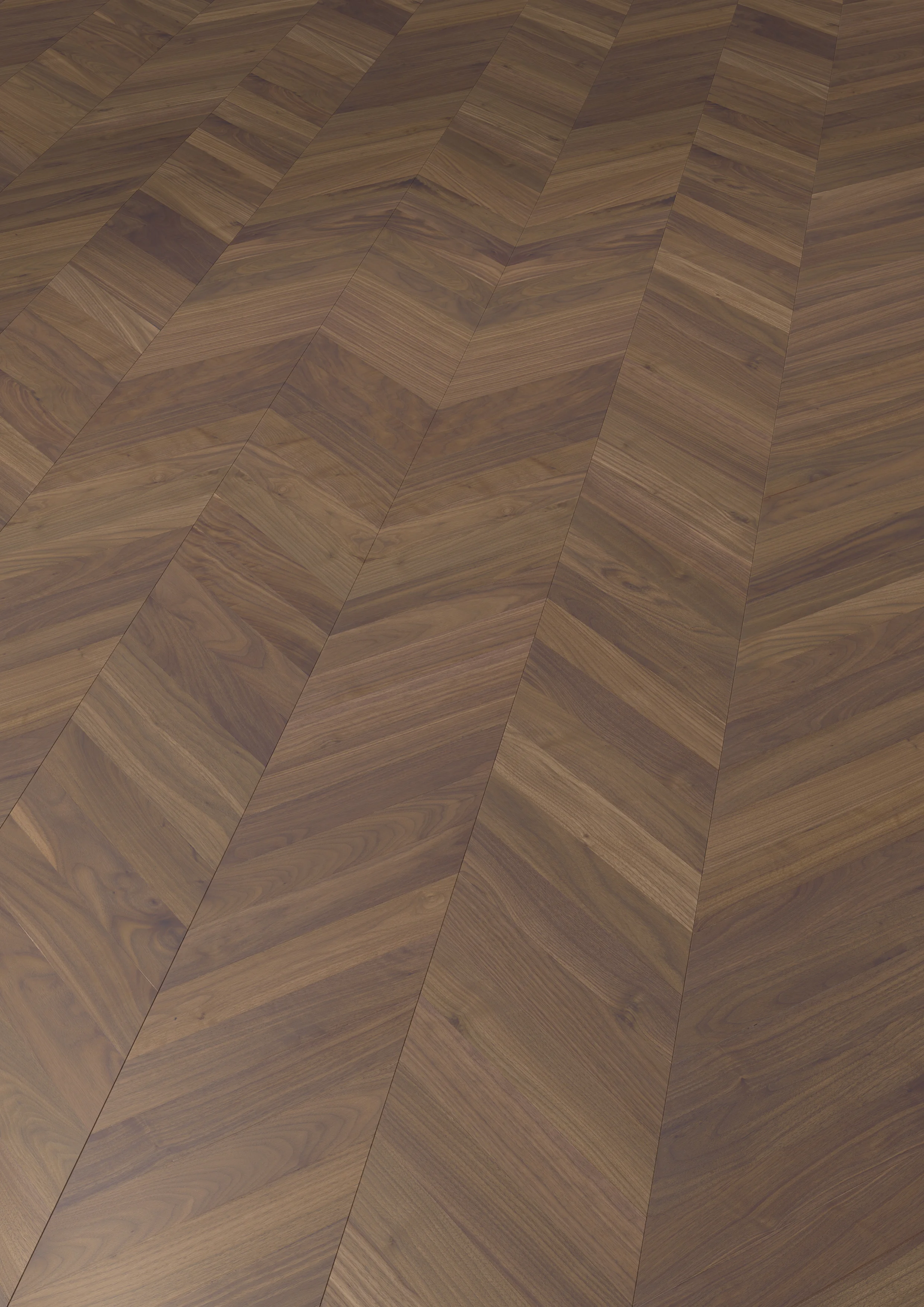 forestry_CHEV-004_persp_A4_RGB.jpg
