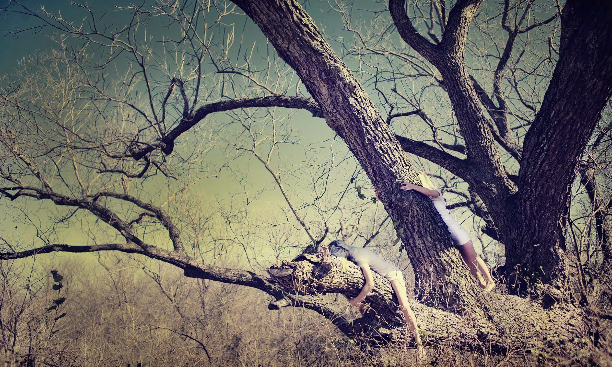 Vipassana