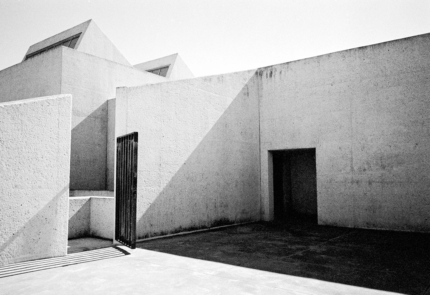 Art Museum of South Texas - 2017 - Suzanne Koett