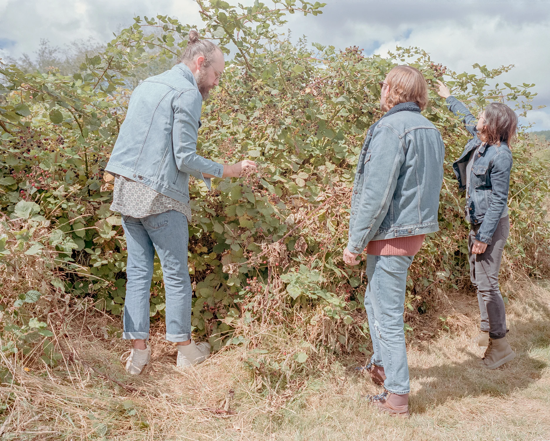 Berry picking in all denim/Raymond WA - September 2018
