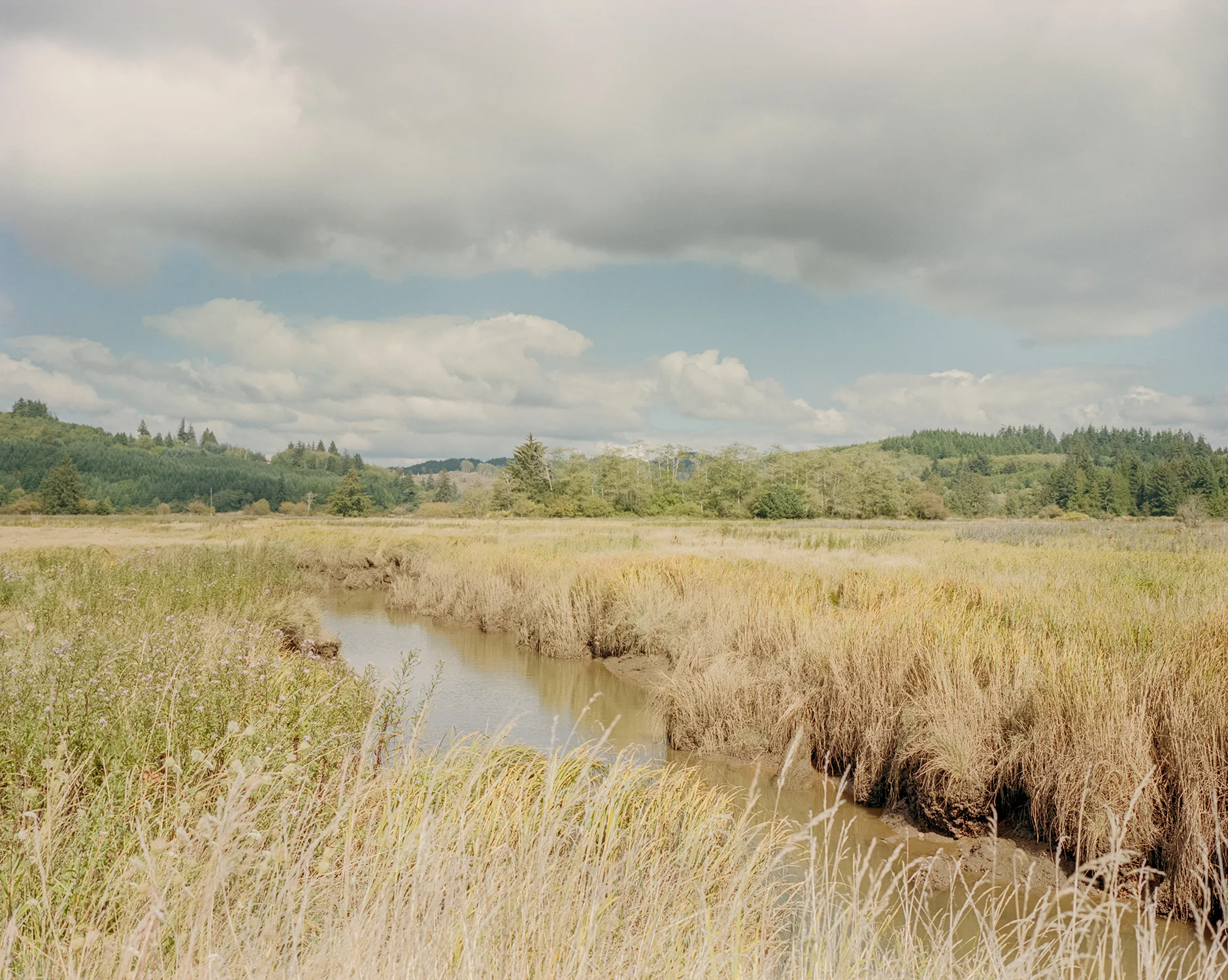 Raymond, WA - September 2018