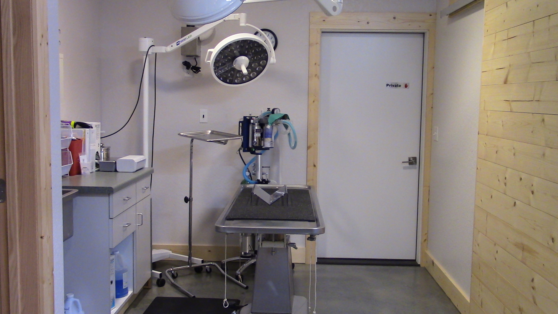 Hi-tech veterinarian surgery center