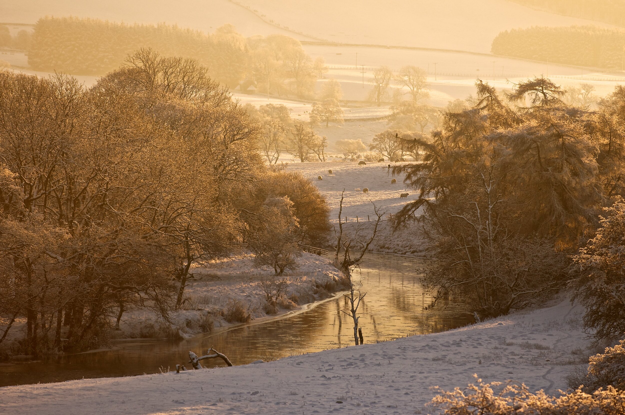 the river tweed.jpg