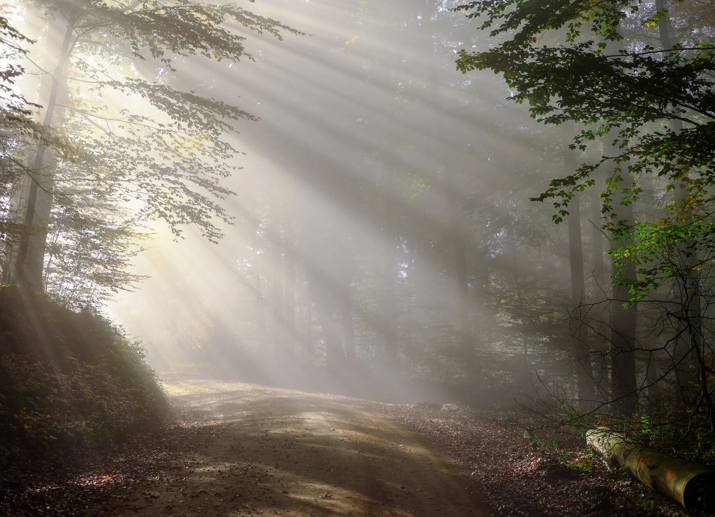 Life in the Holy Spirit
