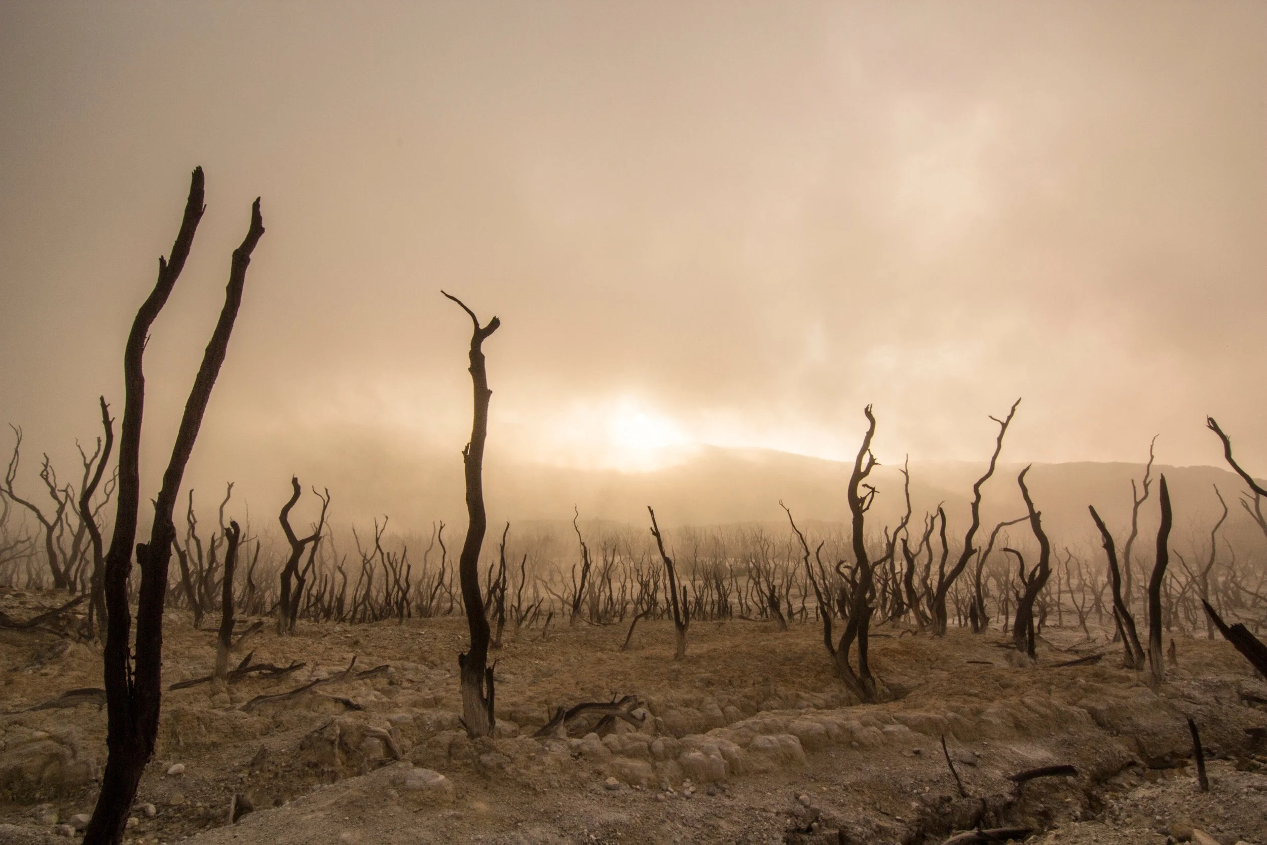 Total Depravity, Part 3
