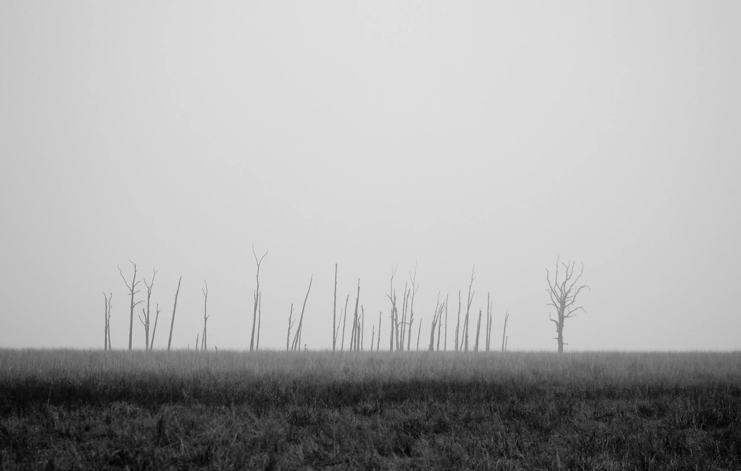 Choosing to Embrace Suffering
