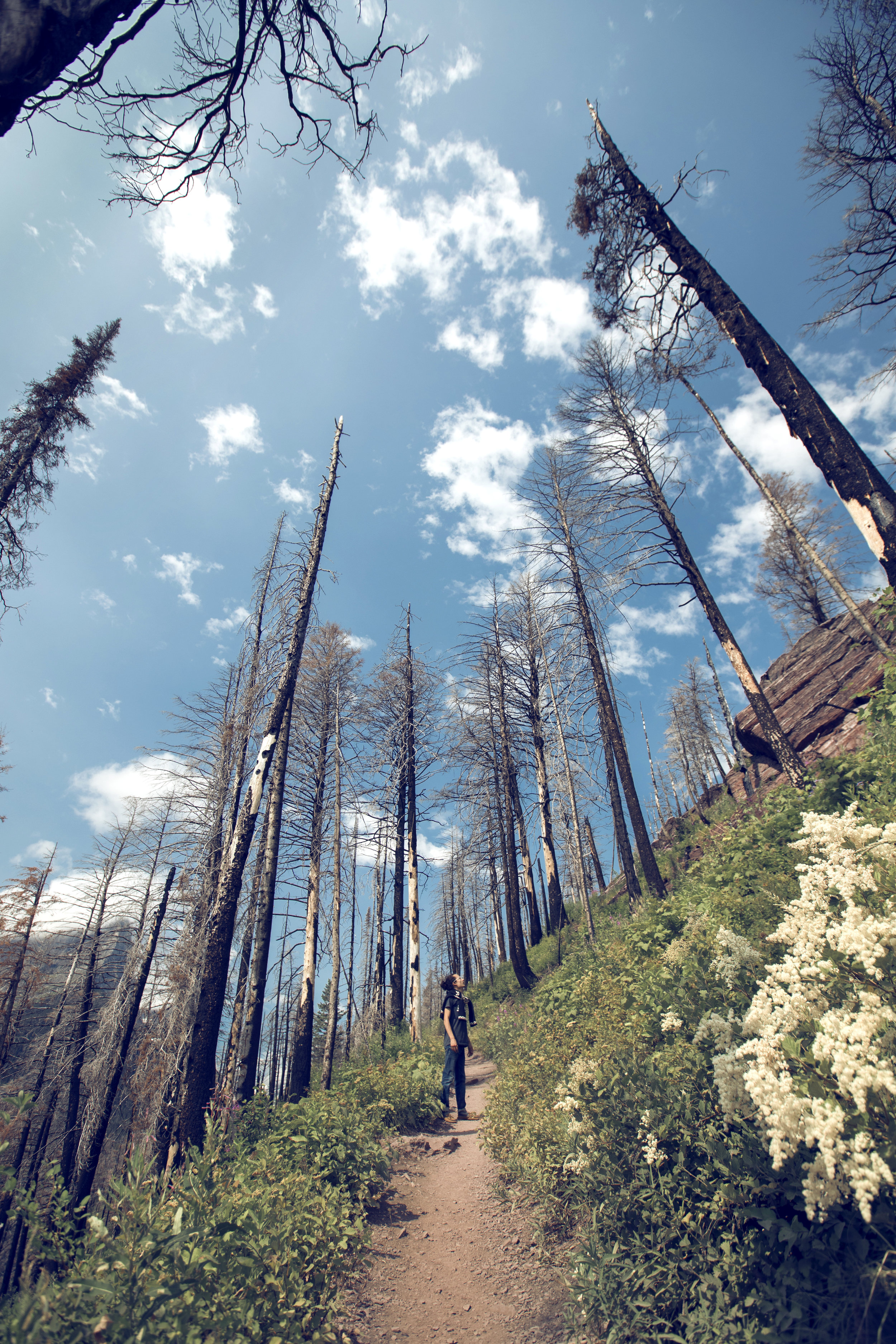 A Vision for Trauma’s Aftermath