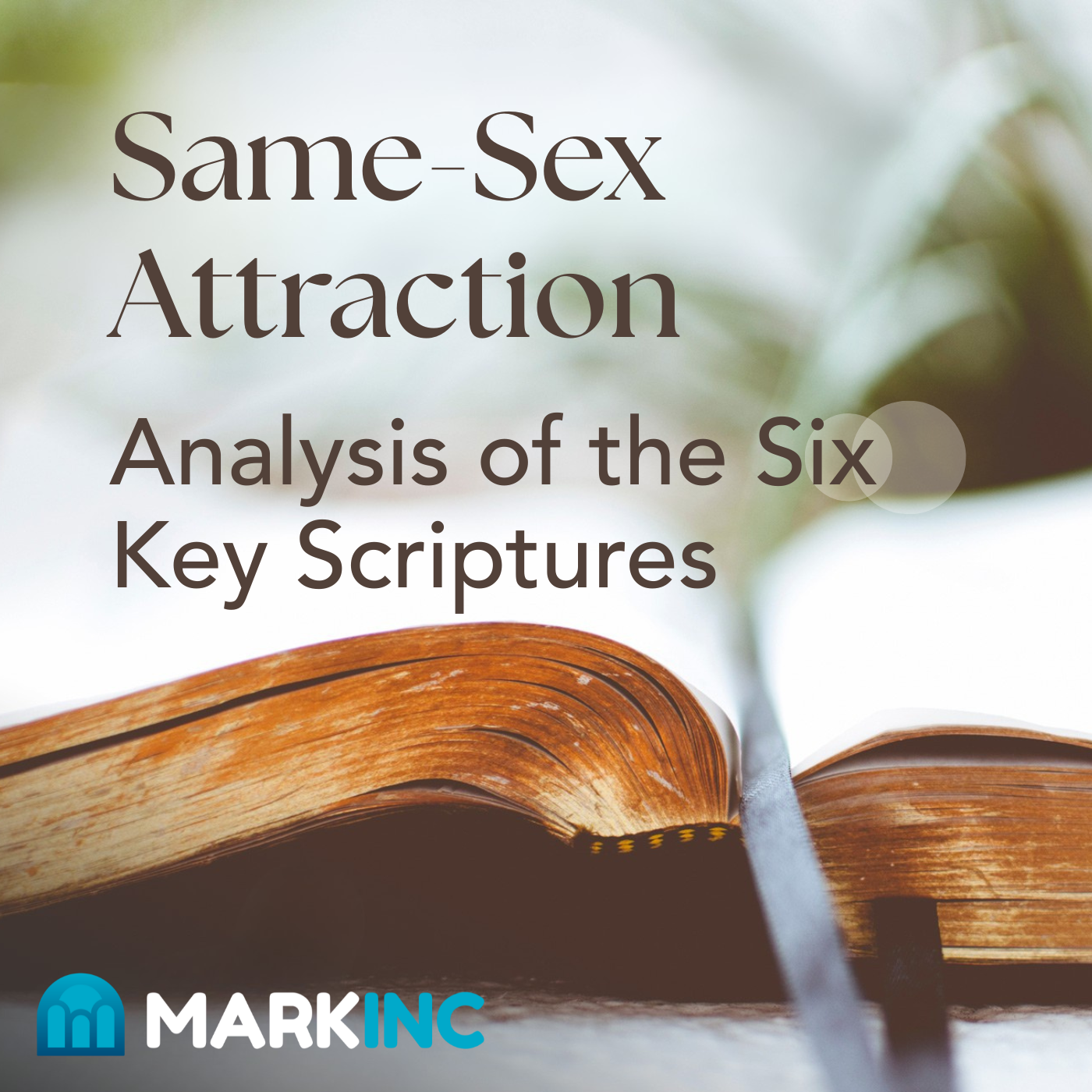 Same-Sex Attraction: Analysis of the Six Key Scriptures Part 2