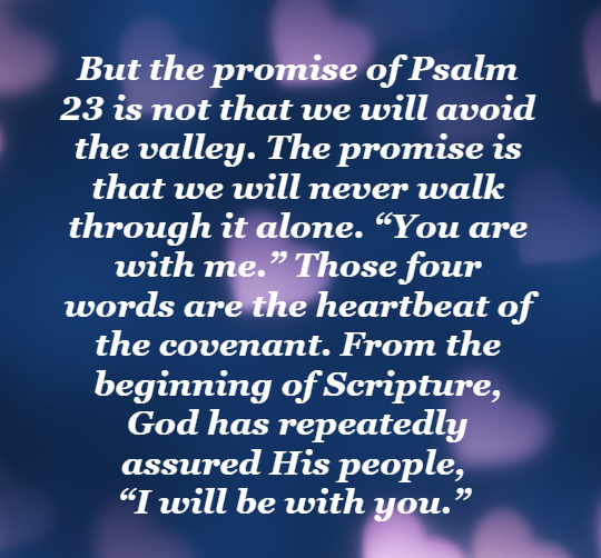 The Shepherd’s Care for Mothers ~ Never Alone in Dark Valleys