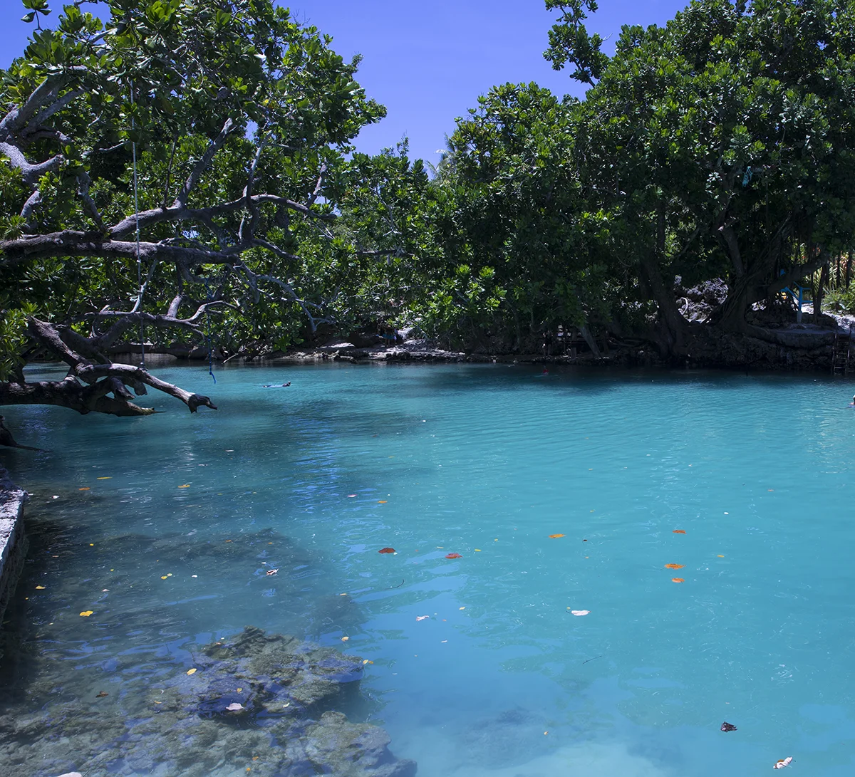 Blue Lagoon.jpg