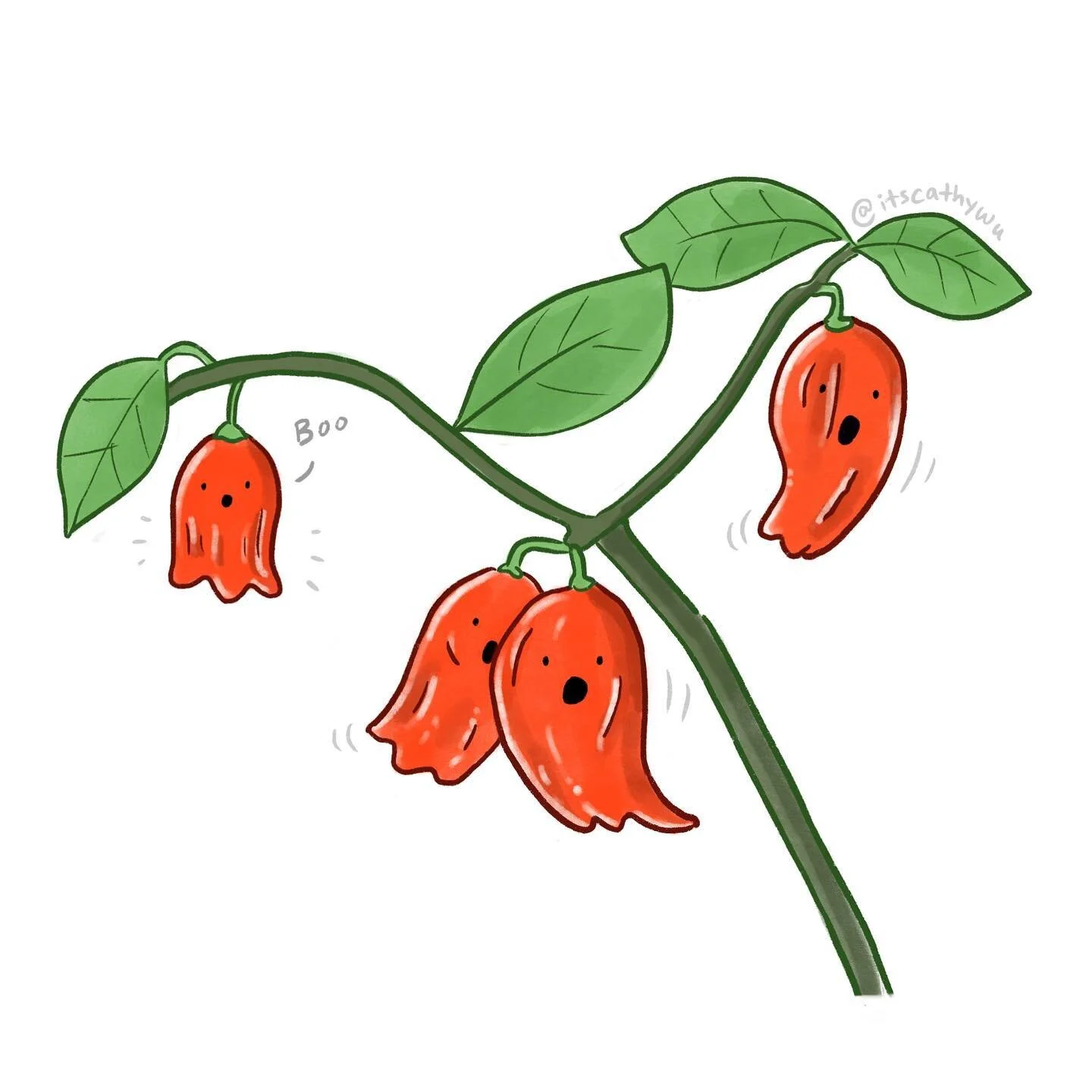 Ghost peppers