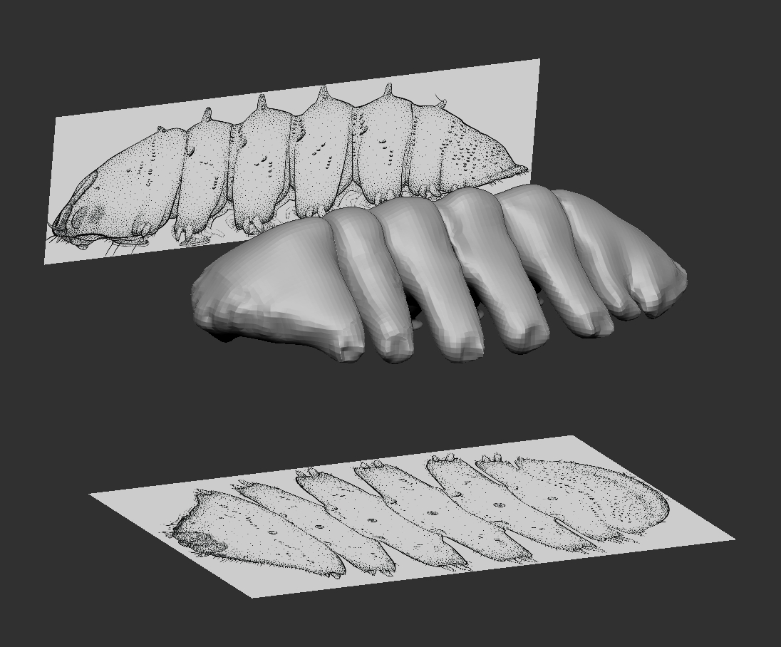 Refining with references