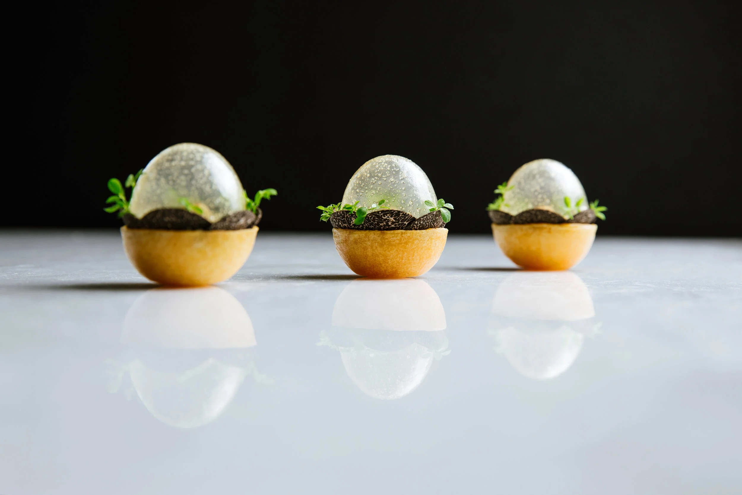 Bocuse_Menu-477.jpg
