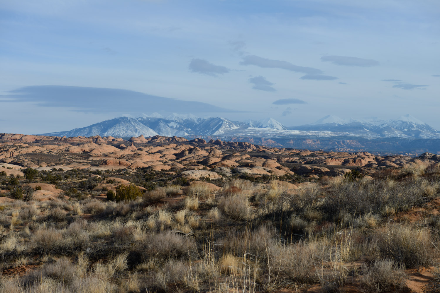 _DSC3115.jpg