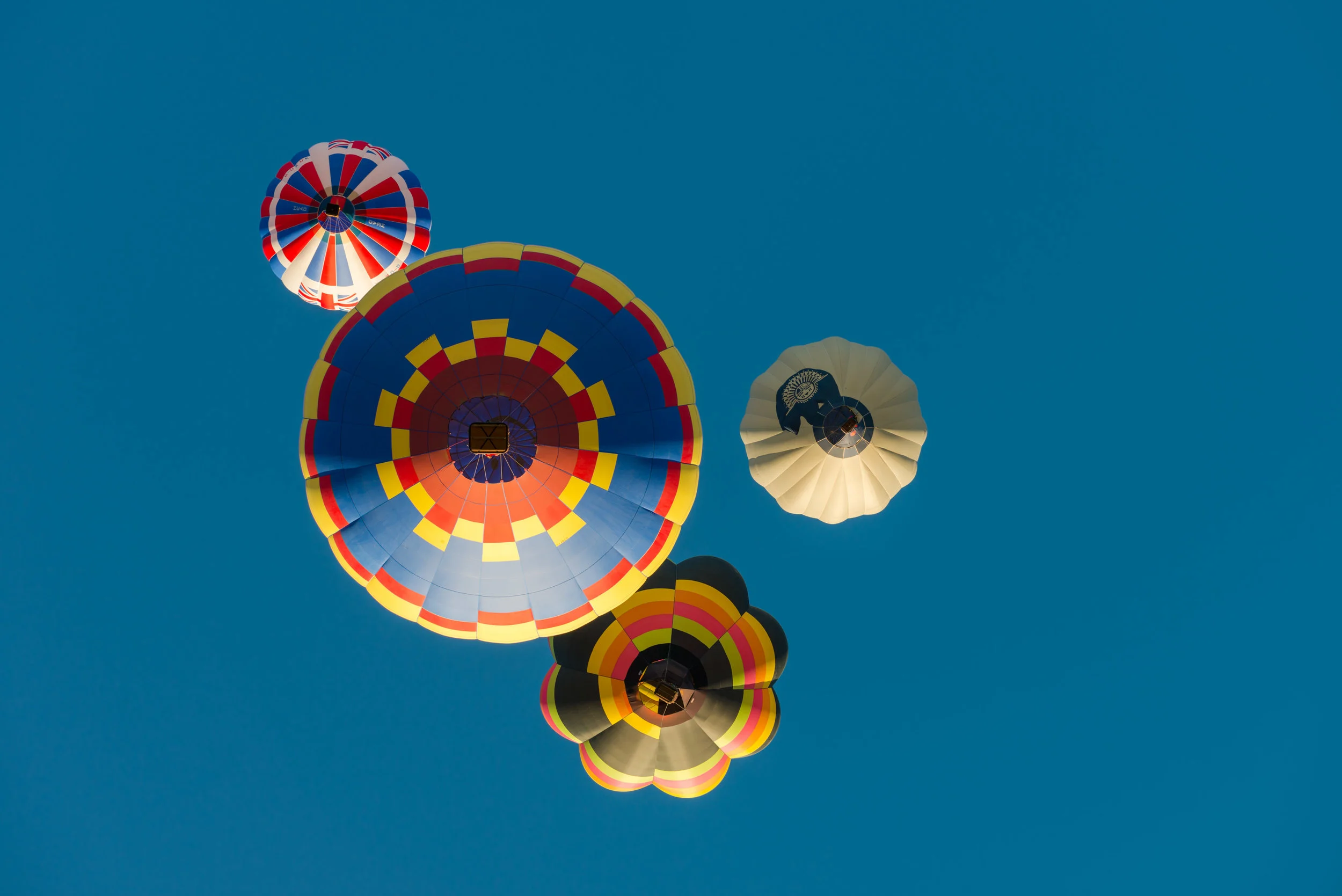 _DSC8888.jpg