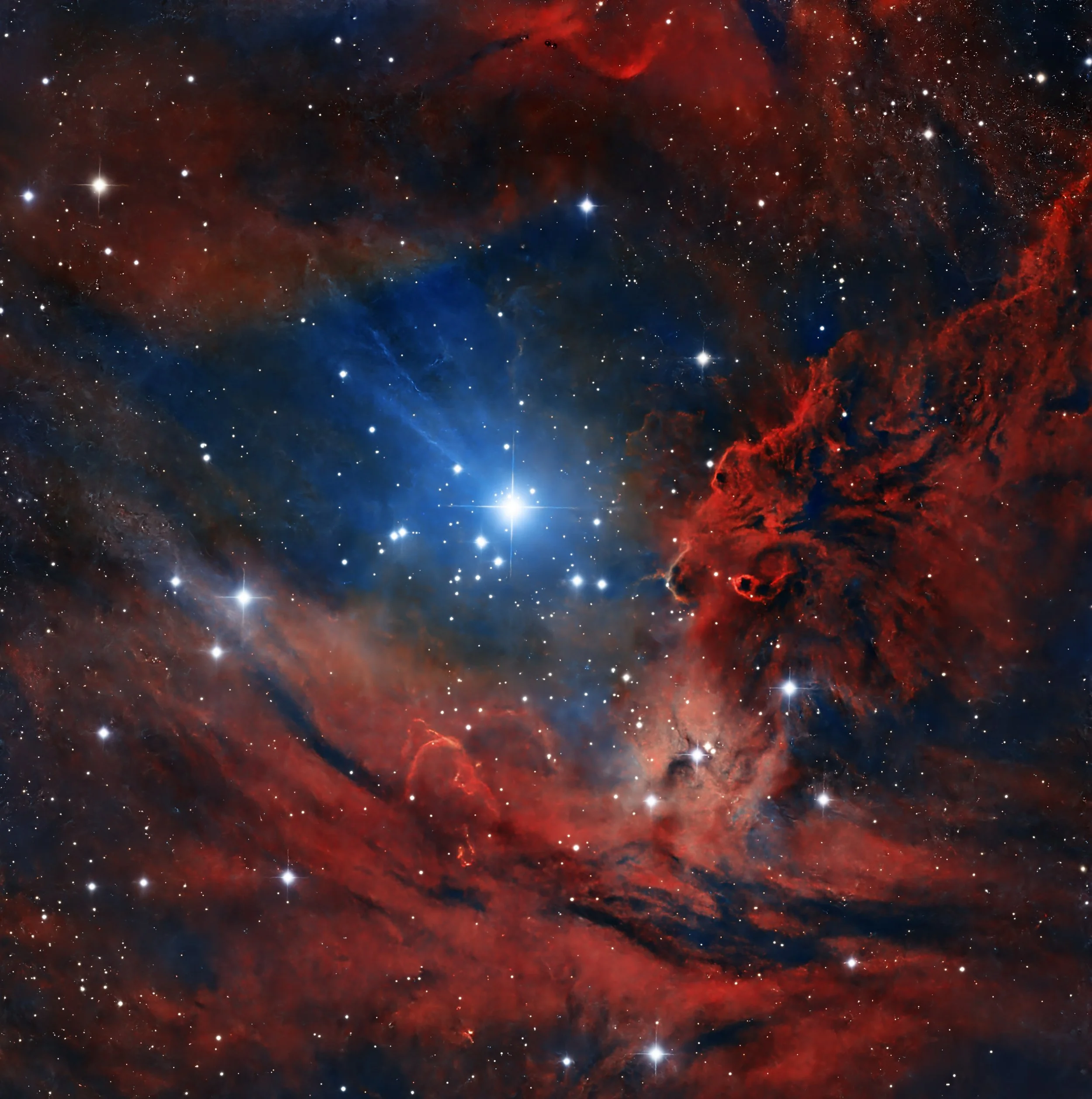 NGC 2264 