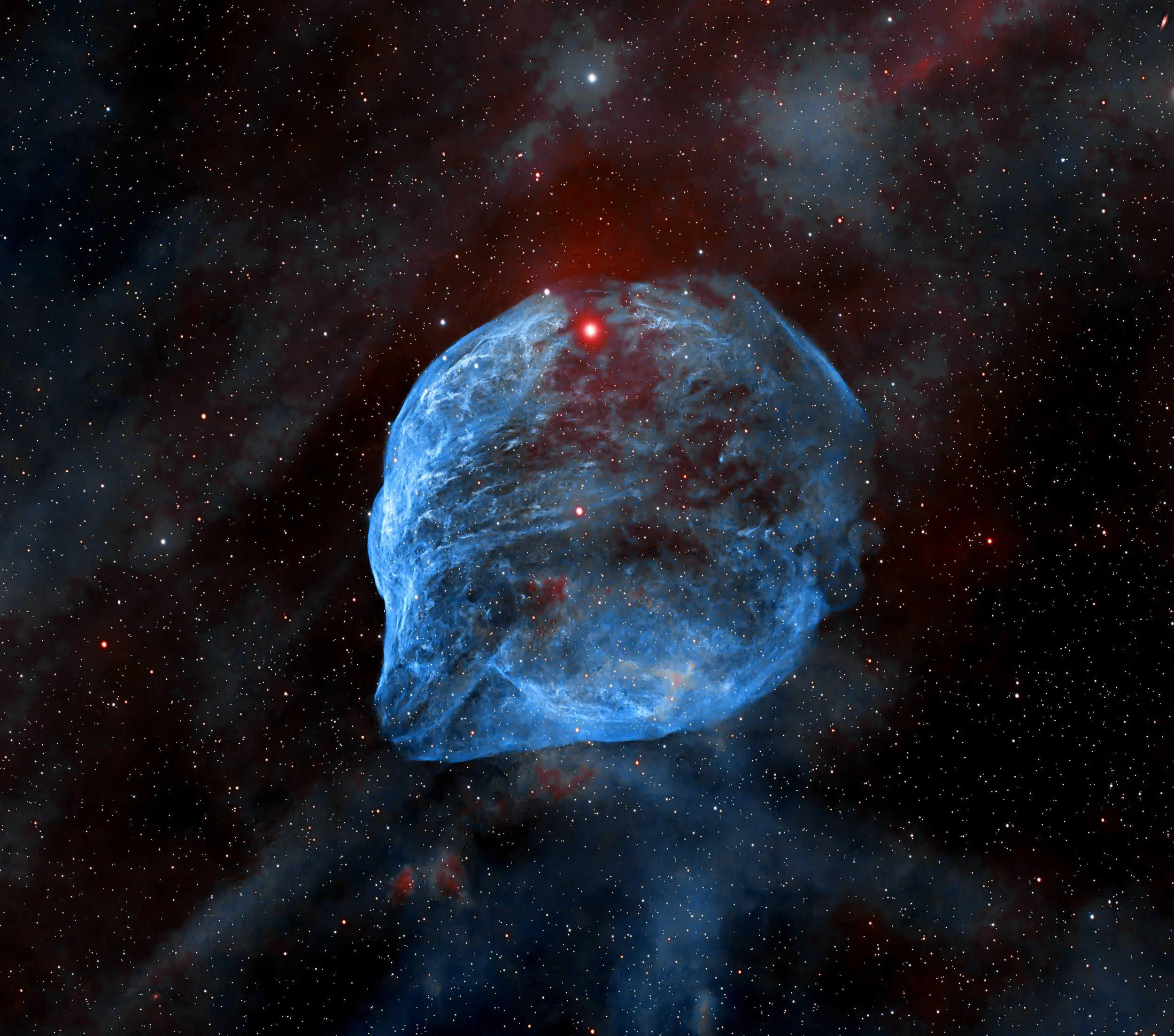 Sh2-308, nicknamed the Dolphin Head Nebula, is one of the most dramatic examples of a stellar wind bubble in our galaxy. It lies in the constellation Canis Major, about 5,000–6,000 light-years away.

SH2-308 is sculpted by a dying giant star, WR 6, a