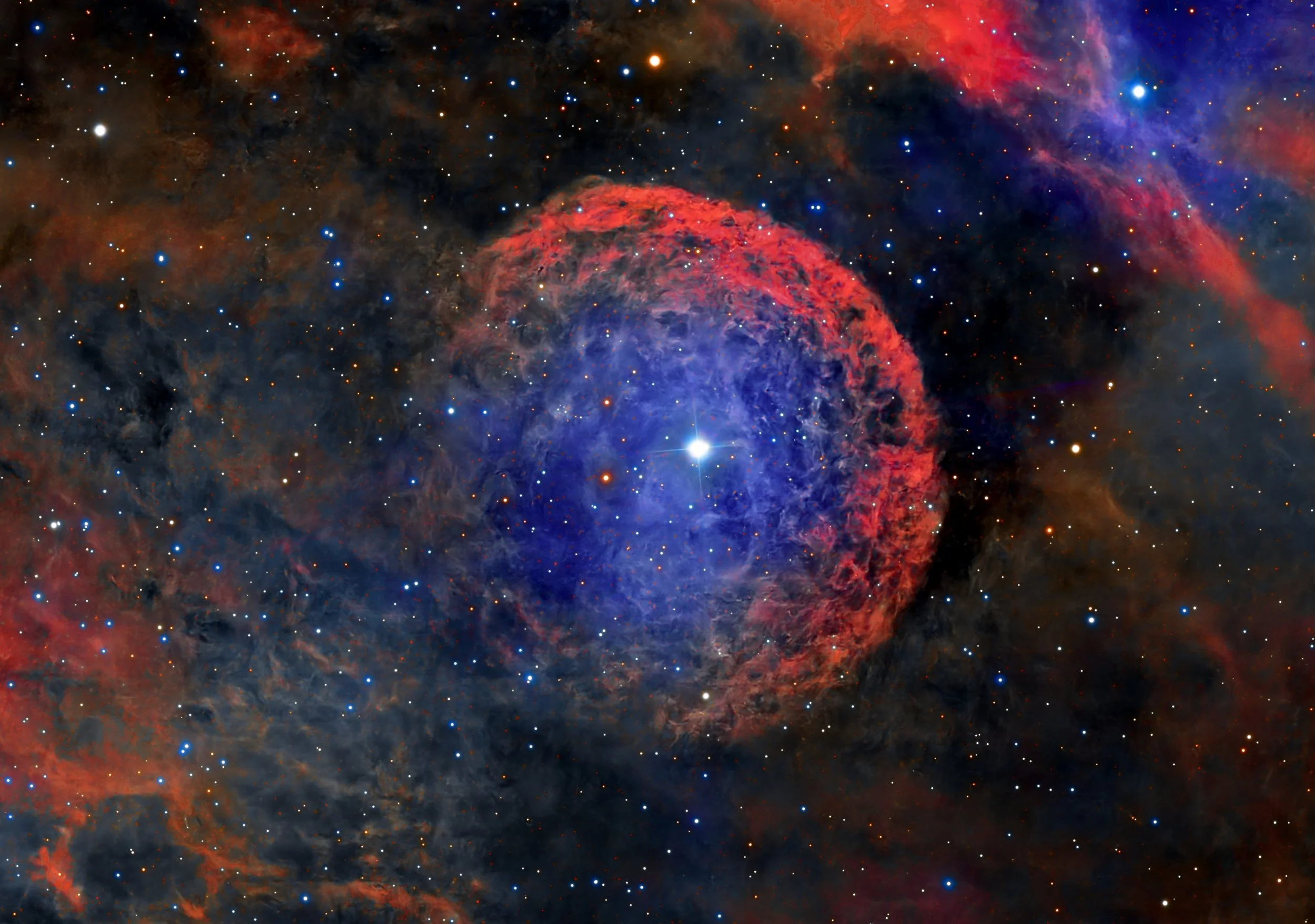 This is WR 16,  a massive, highly luminous, and evolved star in a late stage of its life.  It is classified as a runaway star because it is moving at a high velocity (61 km/s relative to its local interstellar medium) through space. This high speed i