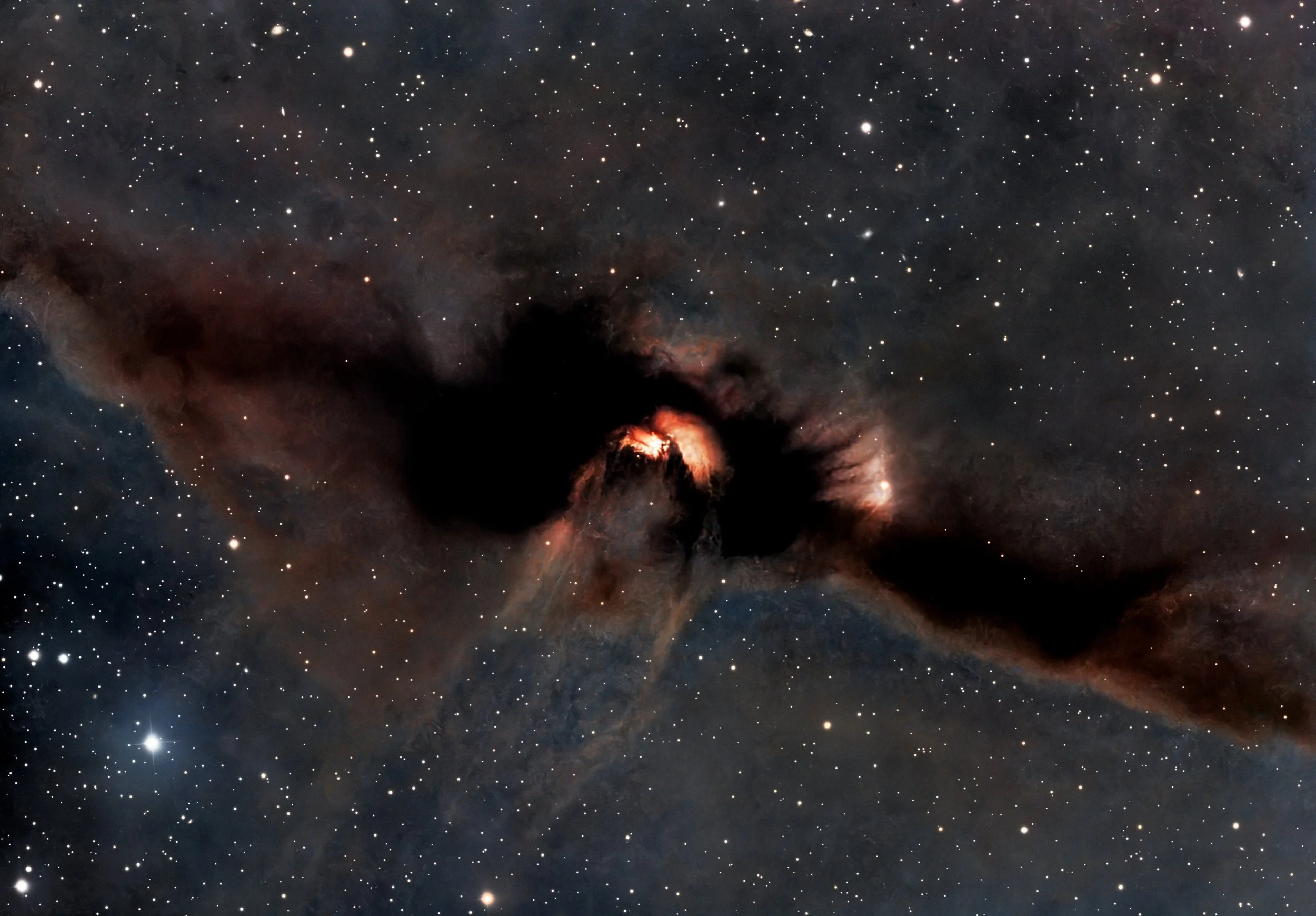 The Flying Bat Nebula, formally NGC 1788, is a dramatic reflection nebula located about 1,300–1,500 light-years away in the constellation Orion. Unlike emission nebulae that glow from ionized hydrogen, NGC 1788 shines because its dense dust clouds re