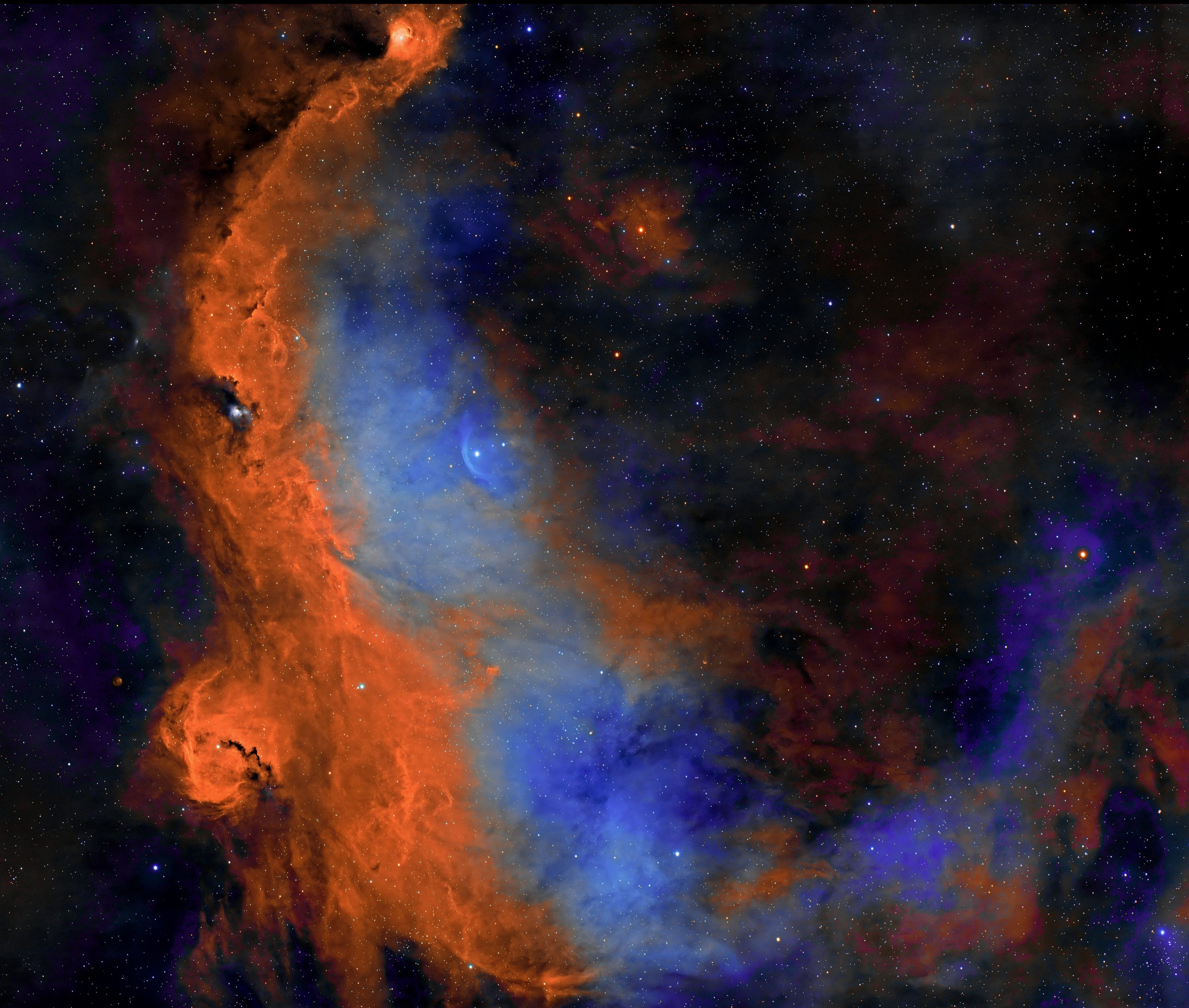 IC 2177, also known as the Seagull Nebula that's nearly 100,000 light-years across.  The nebula's glow is powered by an extremely hot and massive star at its center, known as HD 53367.

The Seagull Nebula is associated with a distinct bluish arc of g