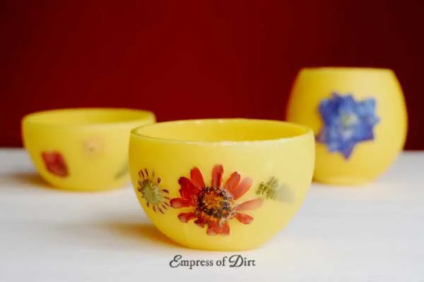 Beeswax Bowls from Empress of Dirt