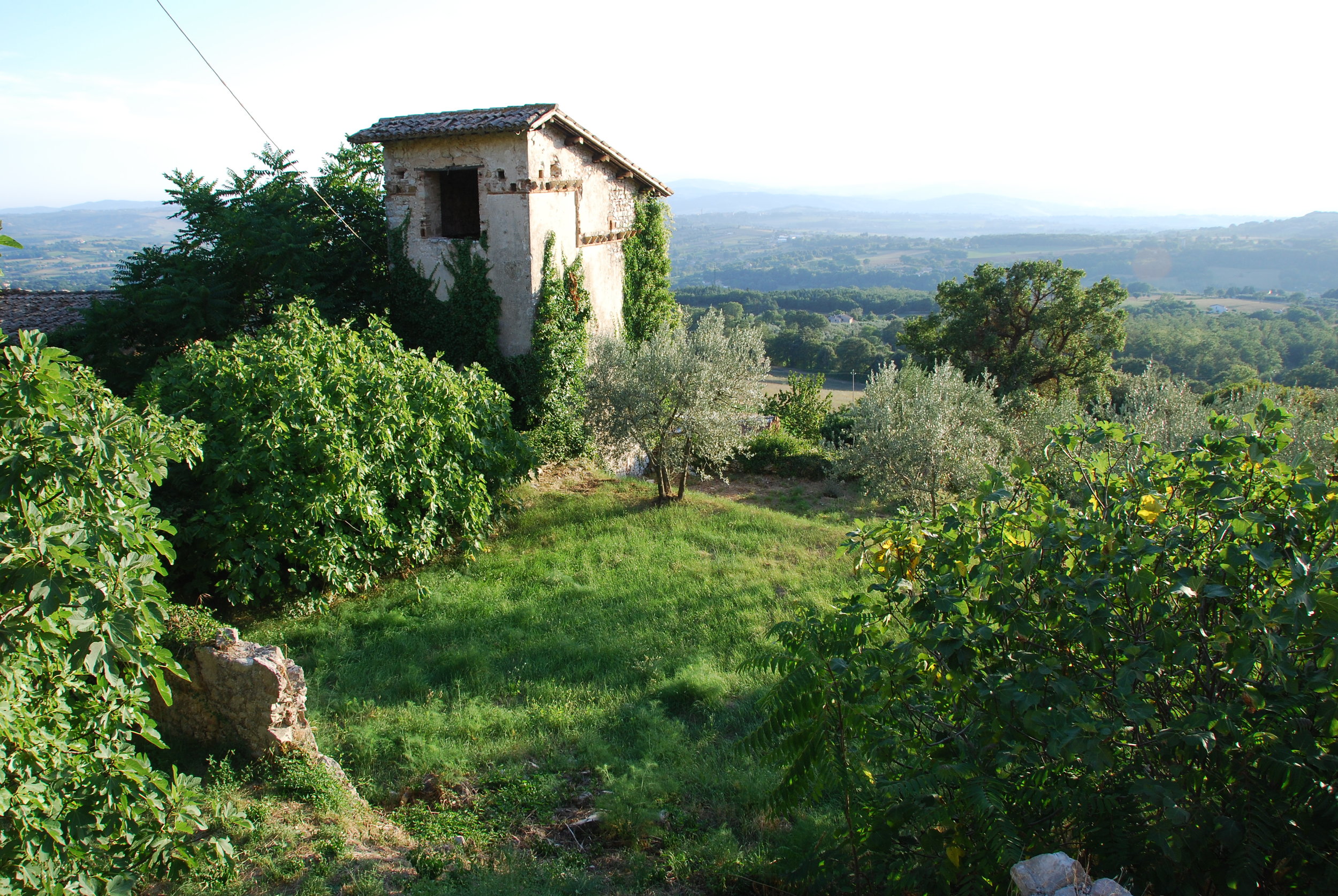 Tower Panorama.JPG