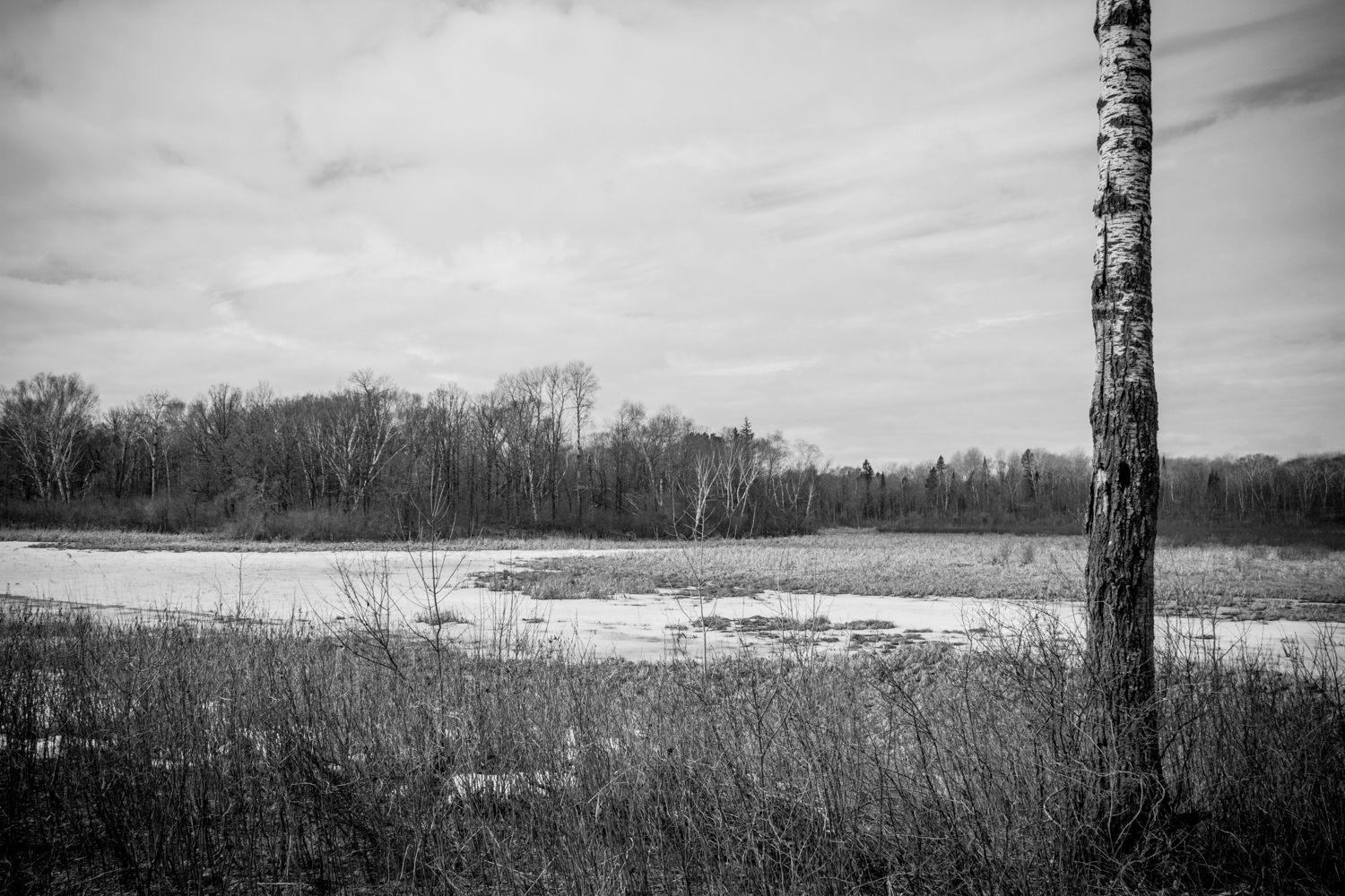 DSC_1195-2.jpg