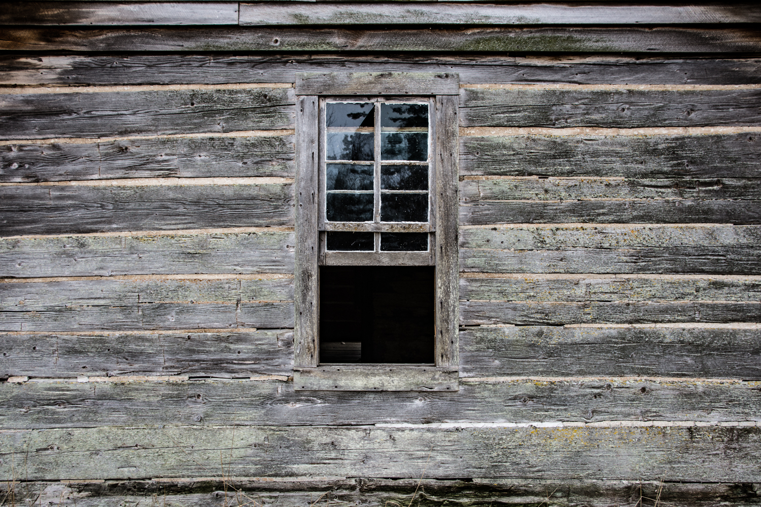 DSC_1347.jpg